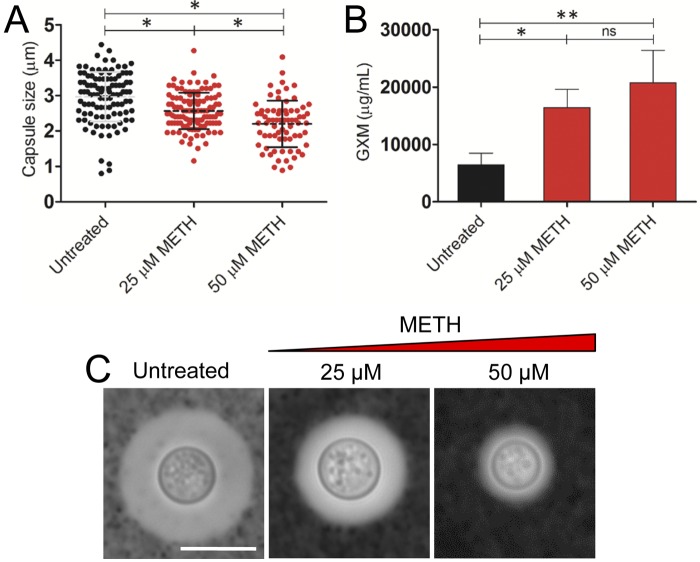 FIG 3 