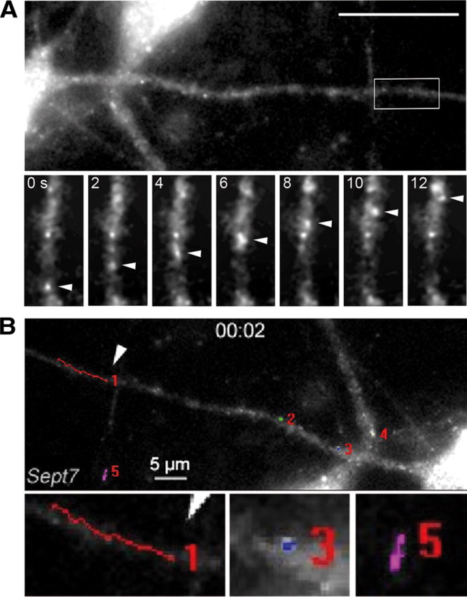 Figure 4.