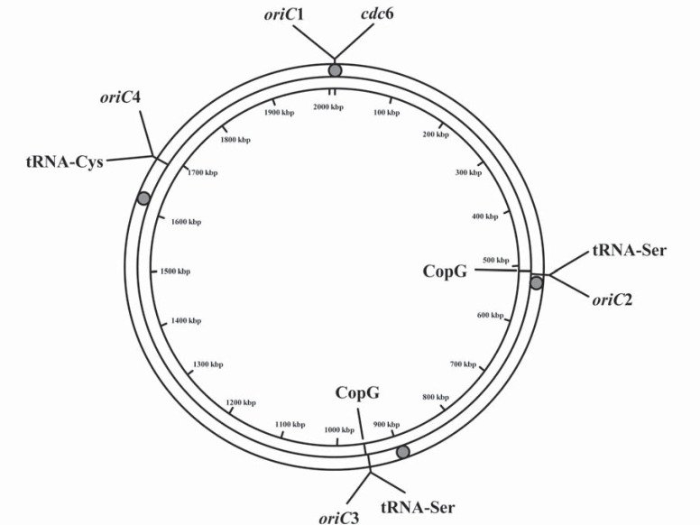 Fig. (3)