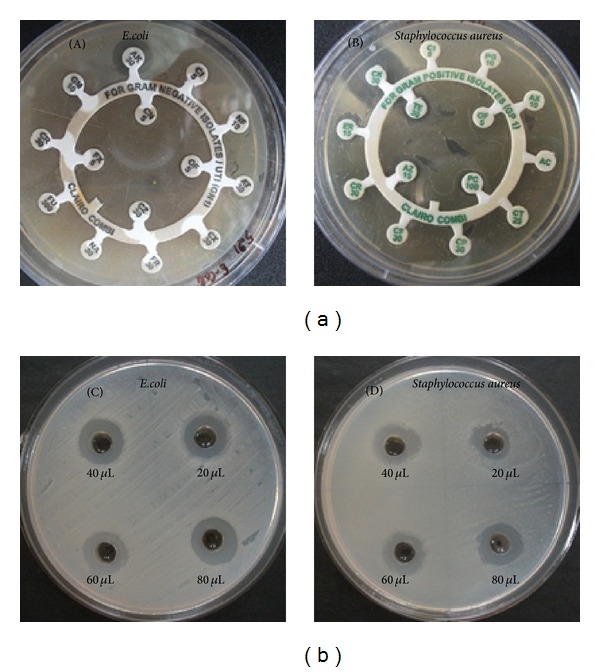 Figure 10