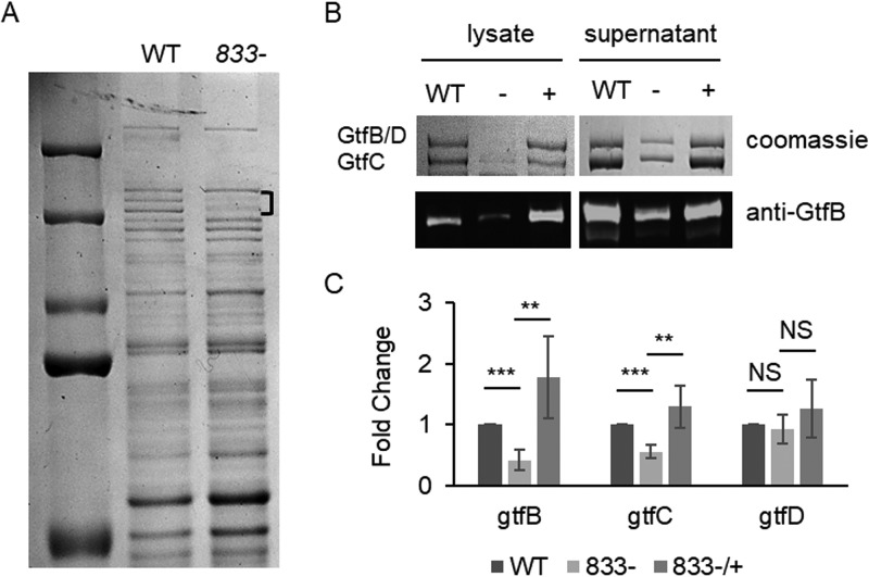 FIG 1