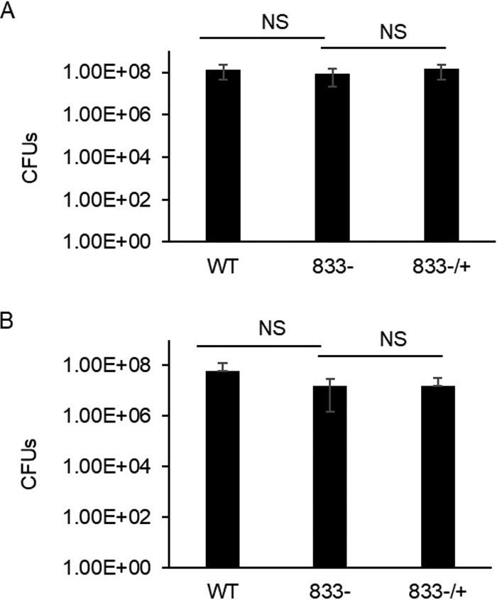 FIG 4