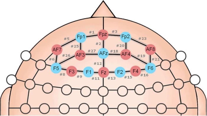 FIGURE 1