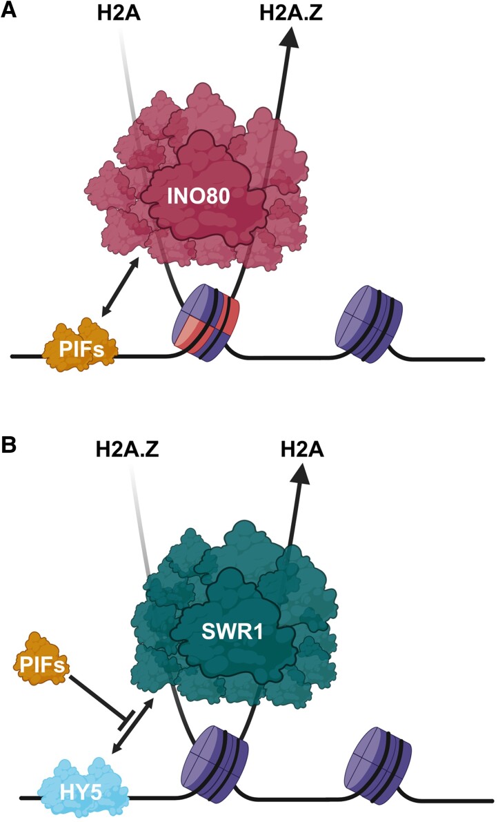 Figure 5.