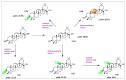 Scheme 19