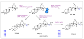 Scheme 16