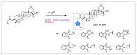 Scheme 12