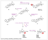 Scheme 21