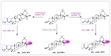 Scheme 4