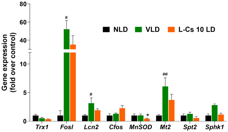 Figure 6