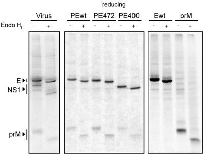 FIG. 9.