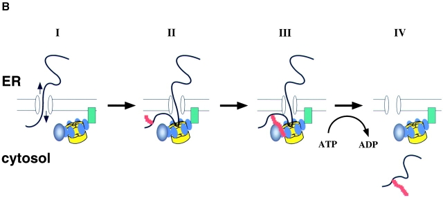 Figure 9. 