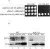 Figure 3.