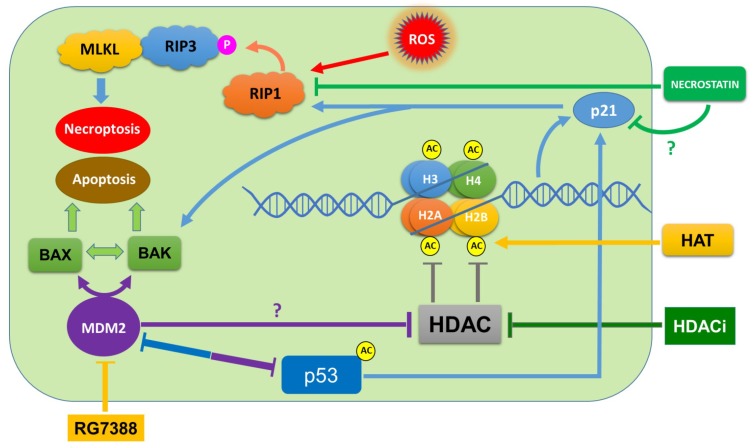 Figure 11