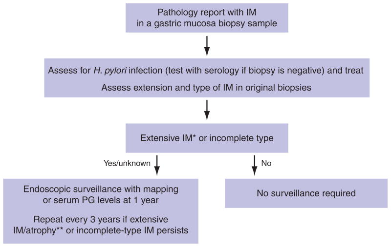 Pathology of gastric intestinal metaplasia clinical implications pmc