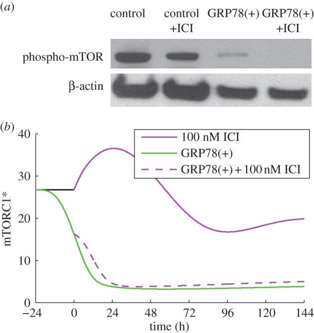 Figure 4.