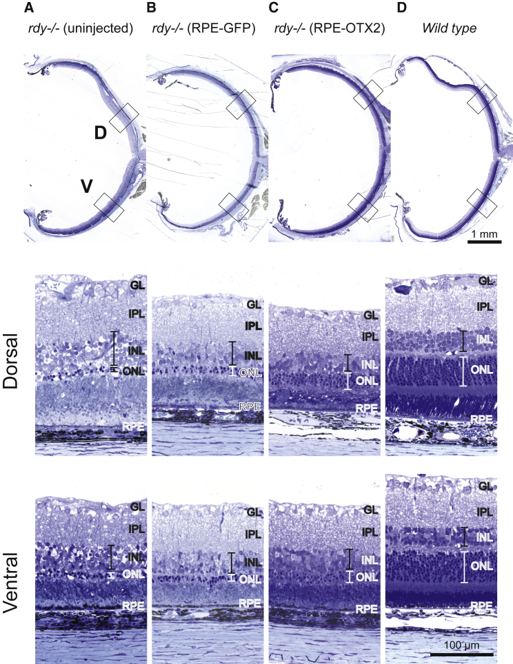 Figure 7