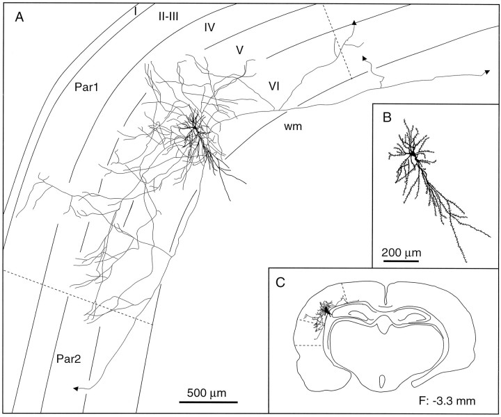 Fig. 9.