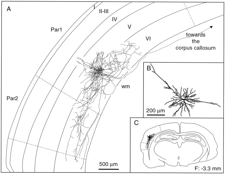 Fig. 11.