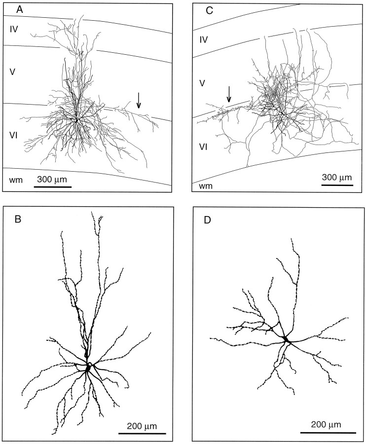 Fig. 13.