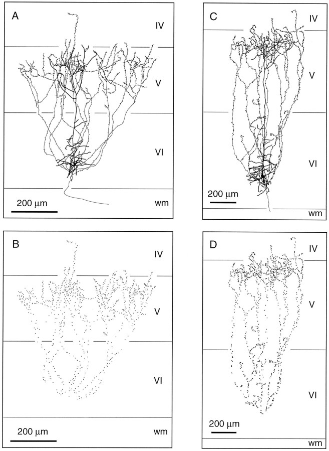 Fig. 5.