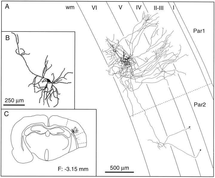 Fig. 10.