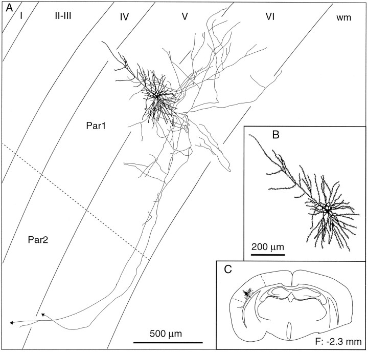 Fig. 8.