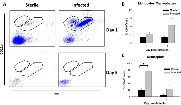 FIG 3