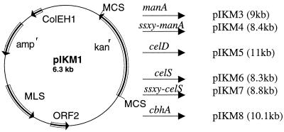 FIG. 1