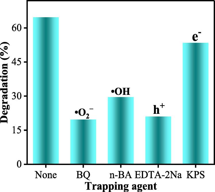 Fig. 9