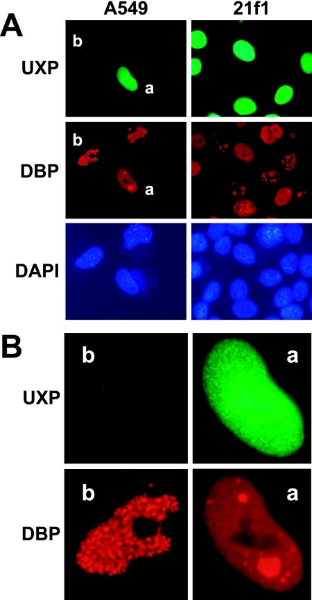 FIG. 11.