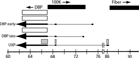 FIG. 9.