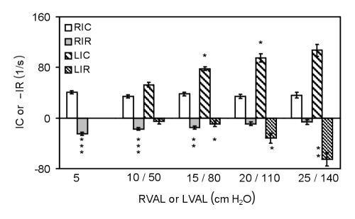 Figure 6)