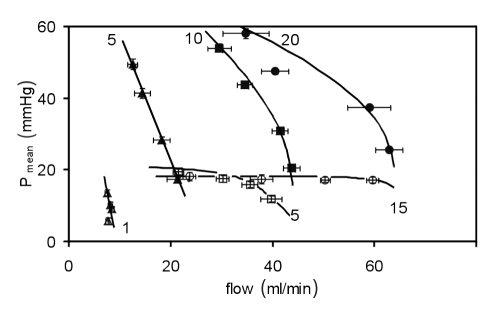 Figure 4)