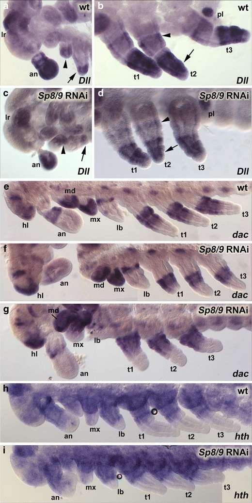 Fig. 4