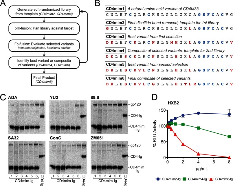 FIGURE 2.