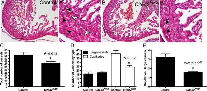 Figure 4