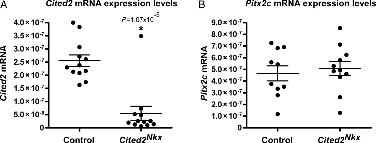 Figure 5