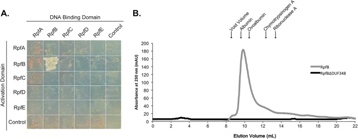 FIG 7