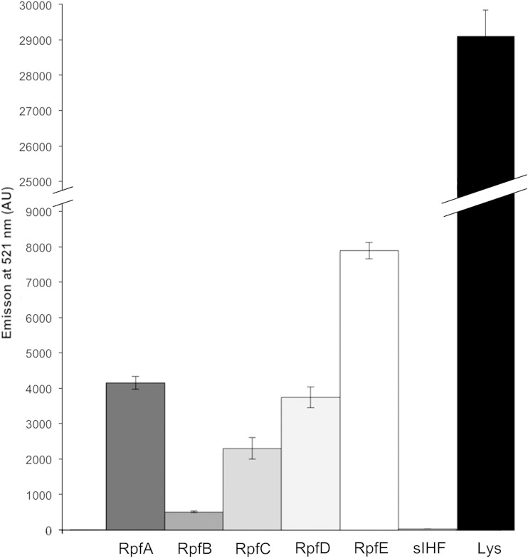 FIG 6