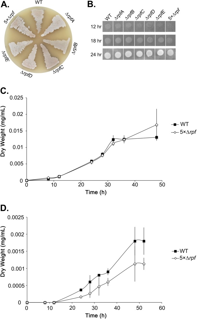 FIG 5