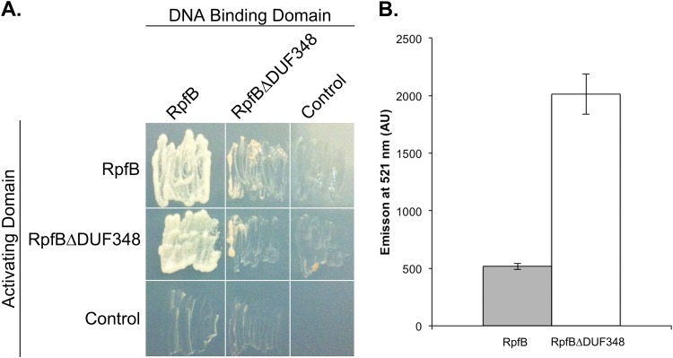 FIG 8