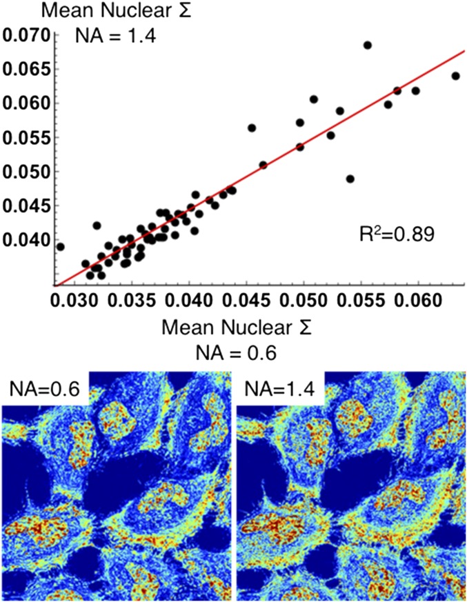 Fig. S3.