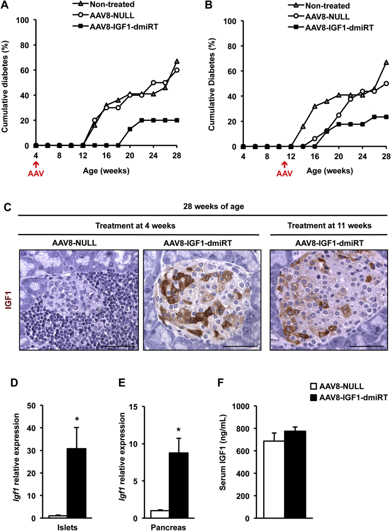 Figure 6