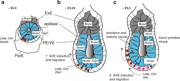 Fig. 13