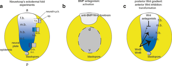 Fig. 12