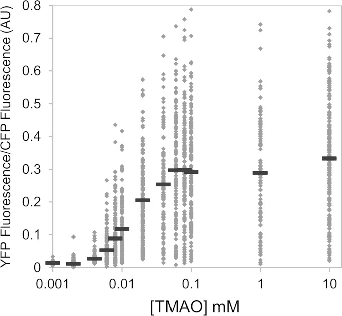 FIG 2