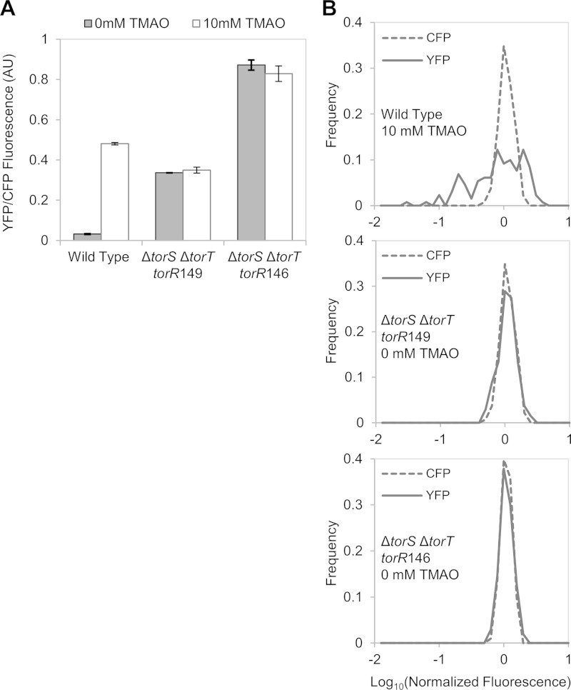 FIG 6