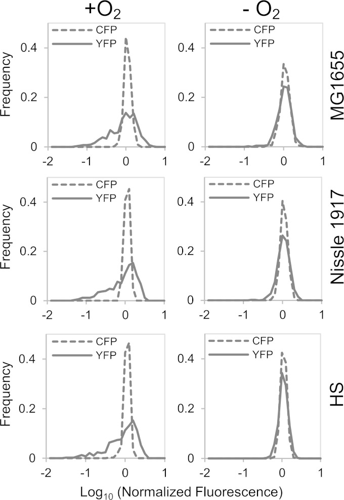 FIG 3