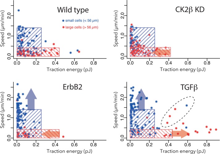 FIGURE 6: